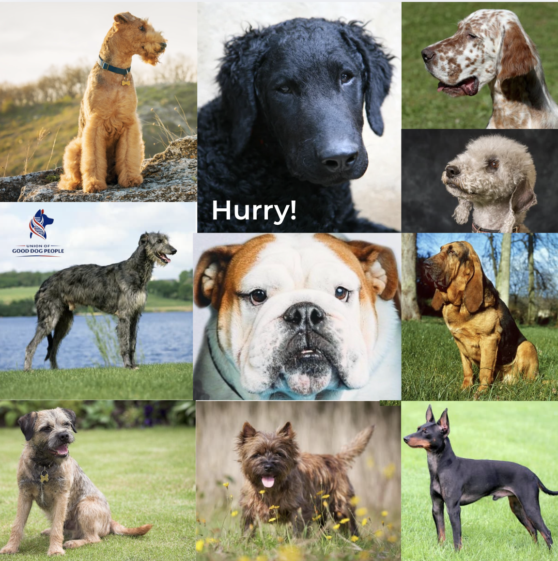 Last call for National Treasures…