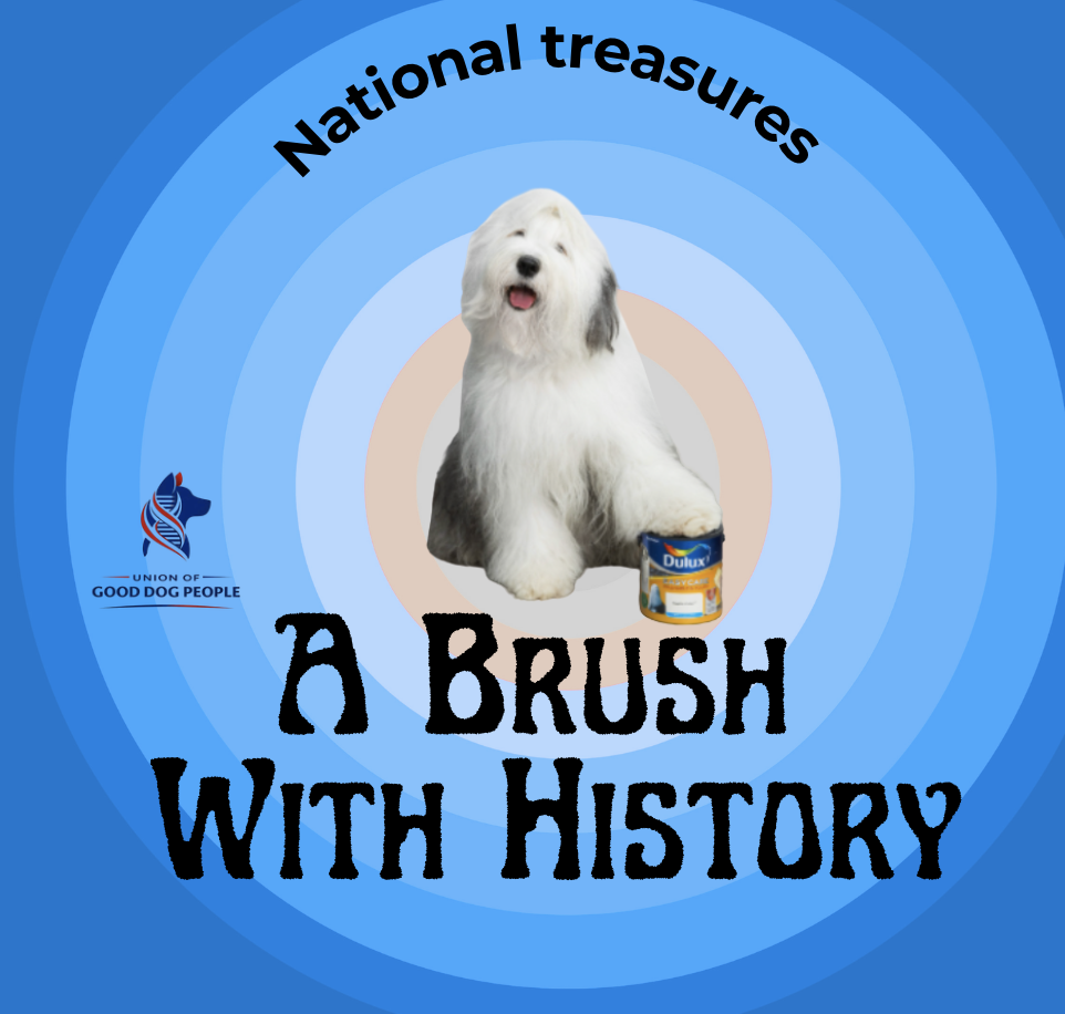 The Dulux dog never gets old!