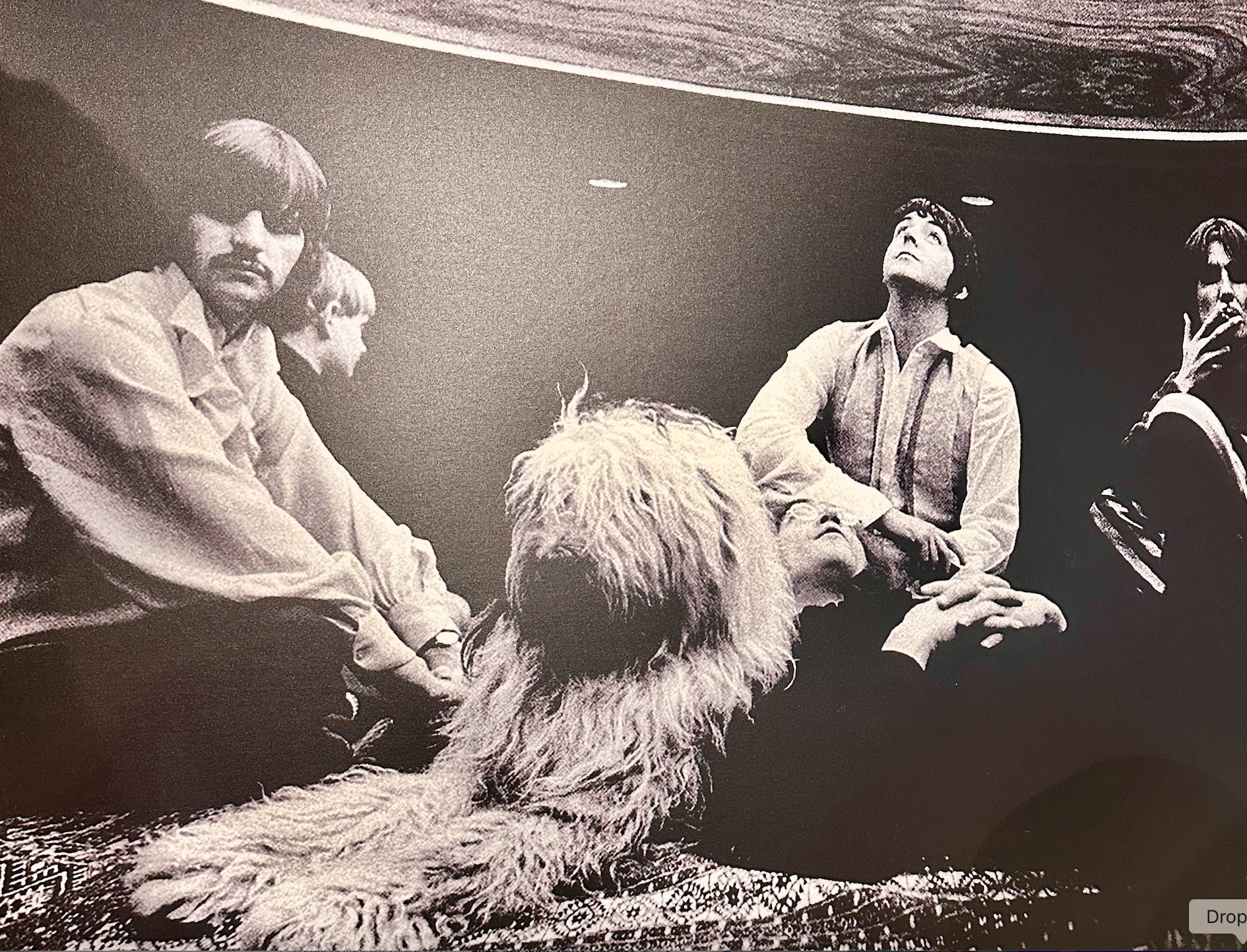 A Shaggy Dog Story?