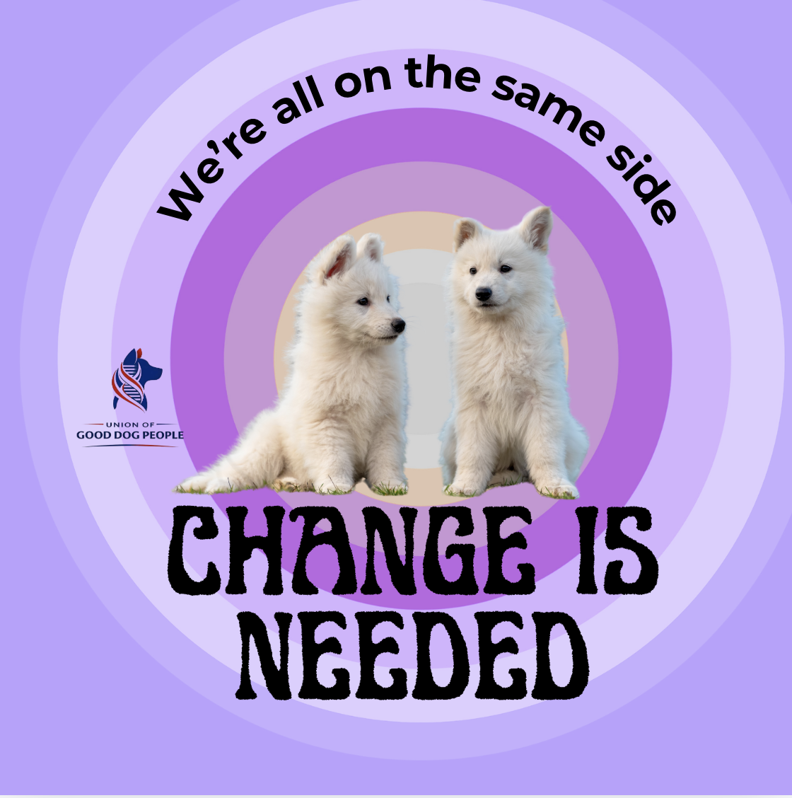 The power of yes. And why the dog world keeps getting this wrong