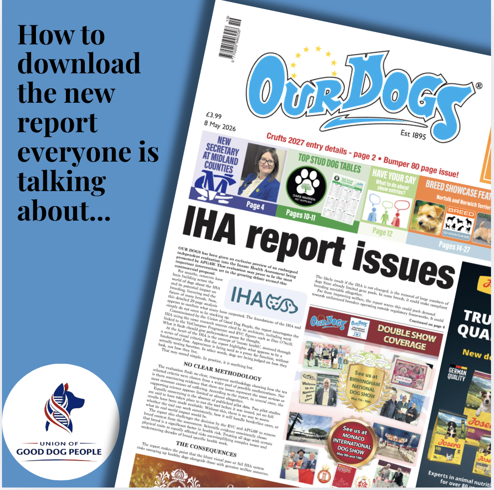 New Report Raises Serious Questions About the IHA